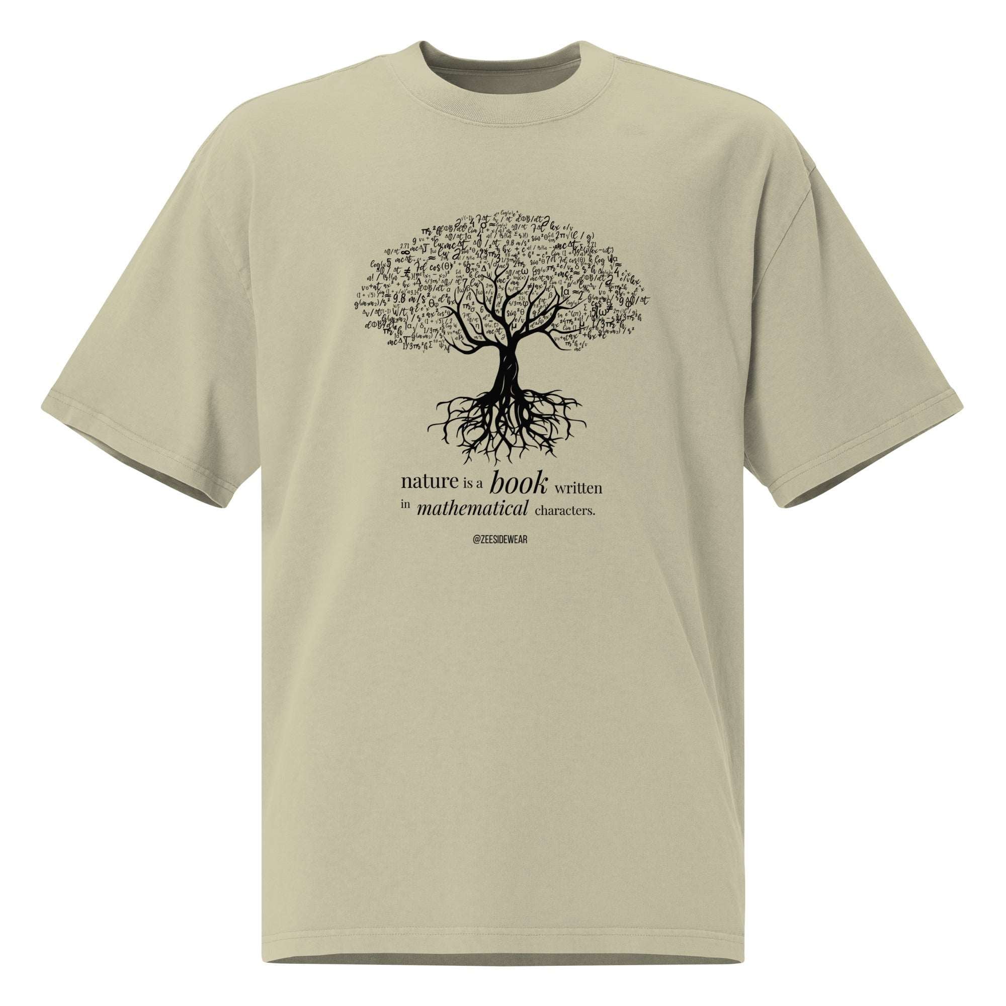 T-shirt Oversize NATURE IS A BOOK WRITTEN IN MATHEMATICAL CHARACTERS Faded Eucalyptus